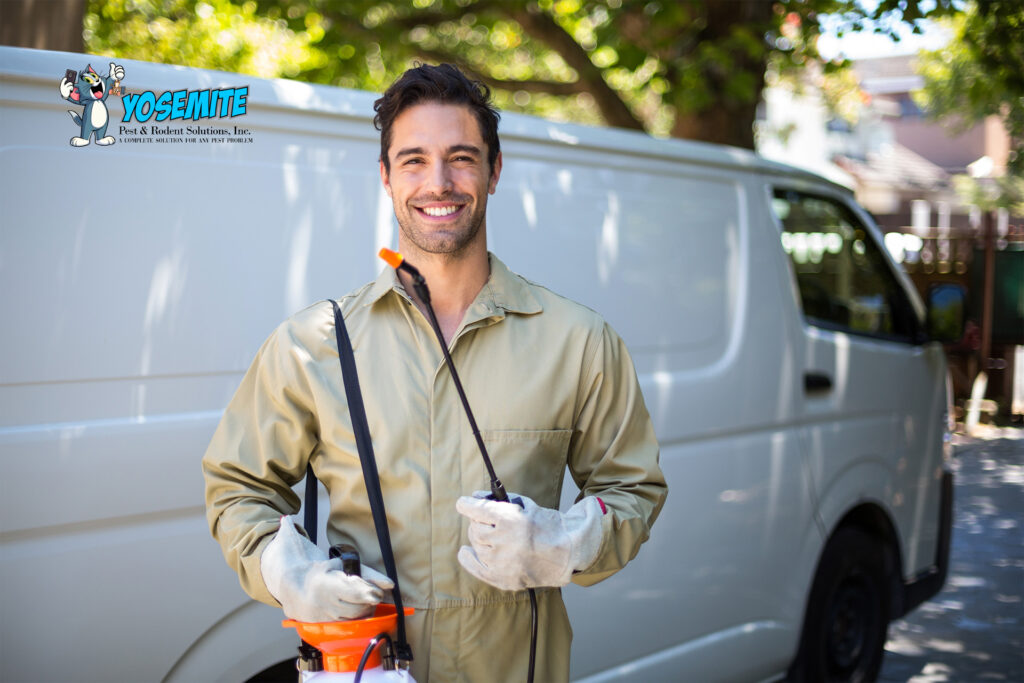 Urgent Action Needed: The Best Emergency Pest Control Services Near You