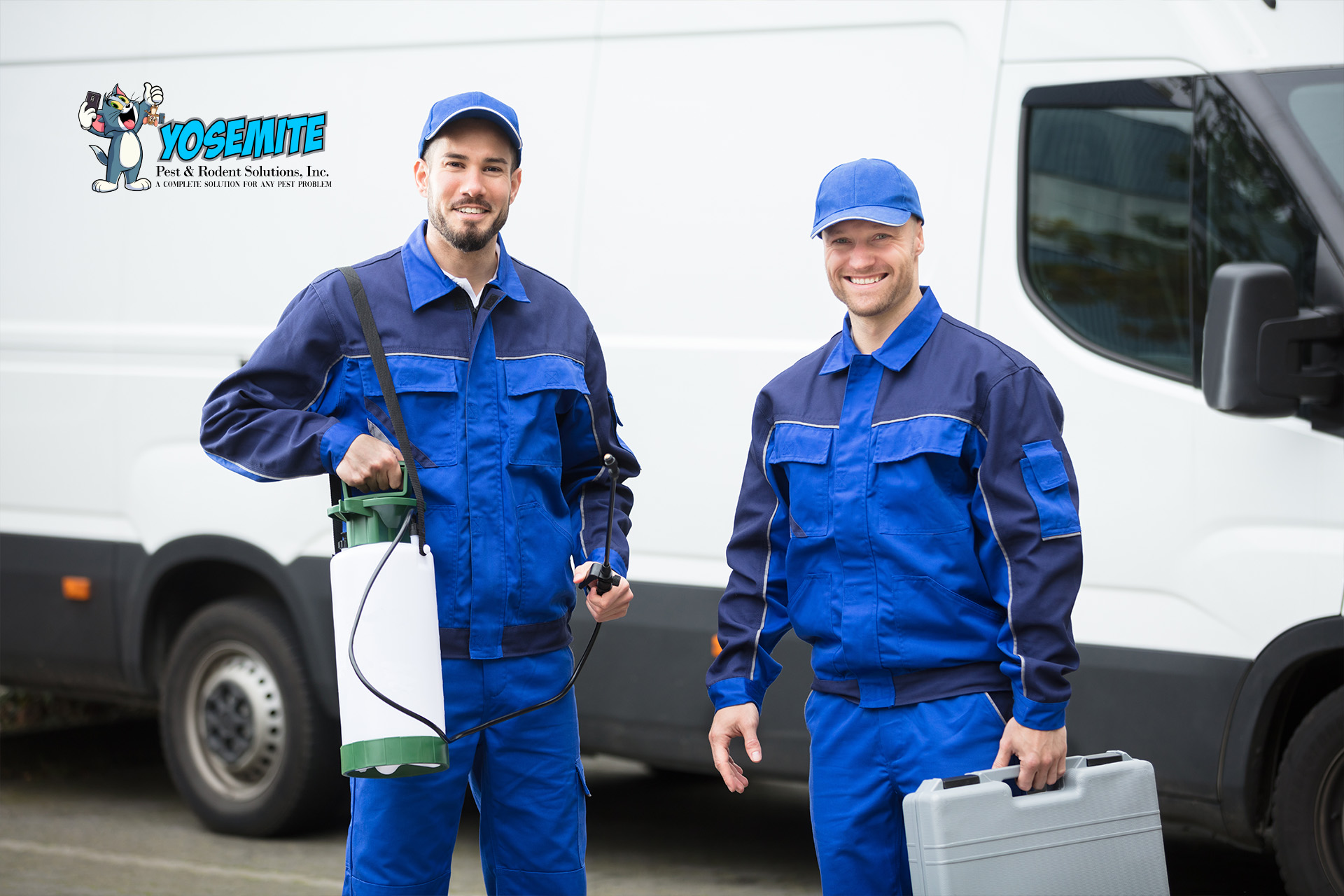 Affordable Pest Control Services Near You: Which Plans To Consider?