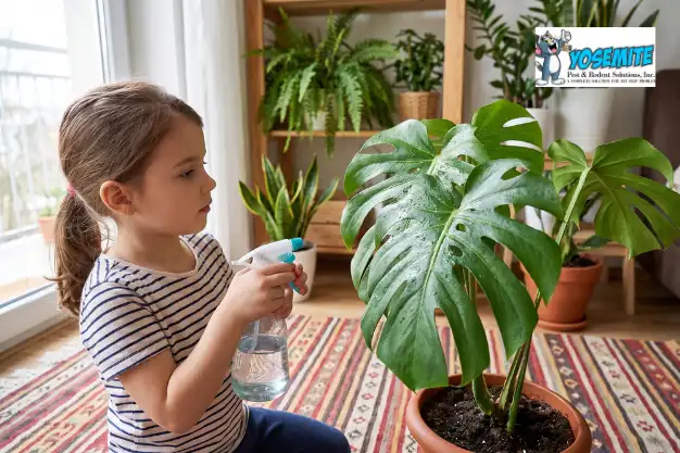 Pests we treat - Odorless & Invisible Pest Control: Safe for Kids, Pets, and Your Home