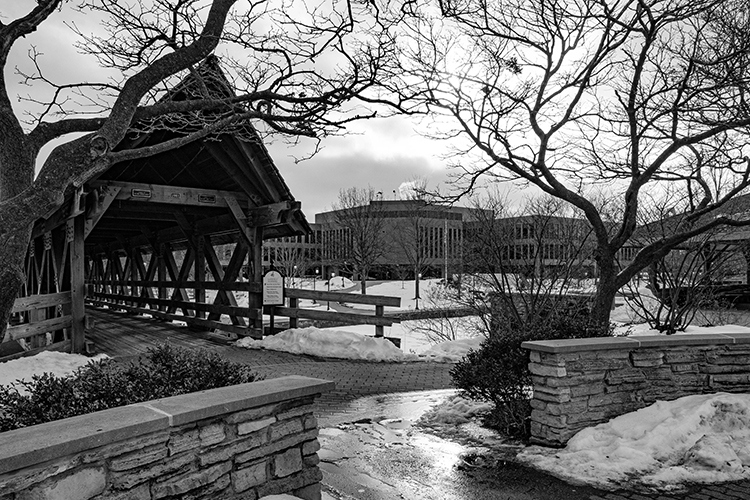 Emergency Pest Control near me