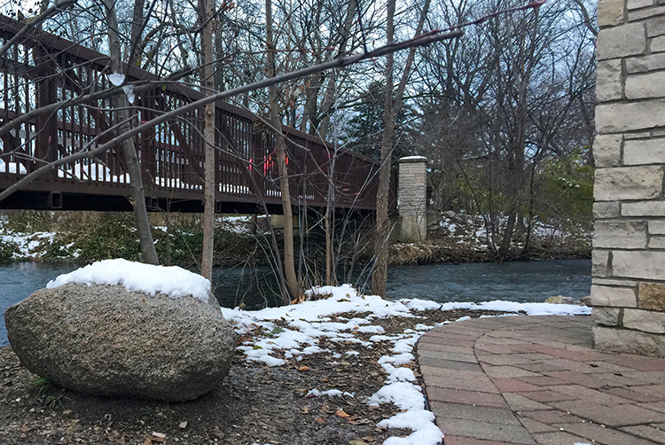 The Best pest Control Company near Me