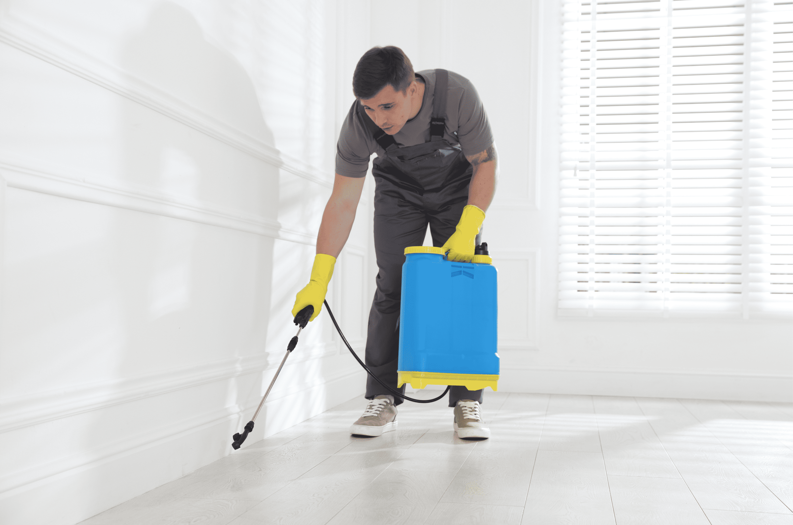 Pests we treat - Why Pest Control Pricing Looks Different in 2026