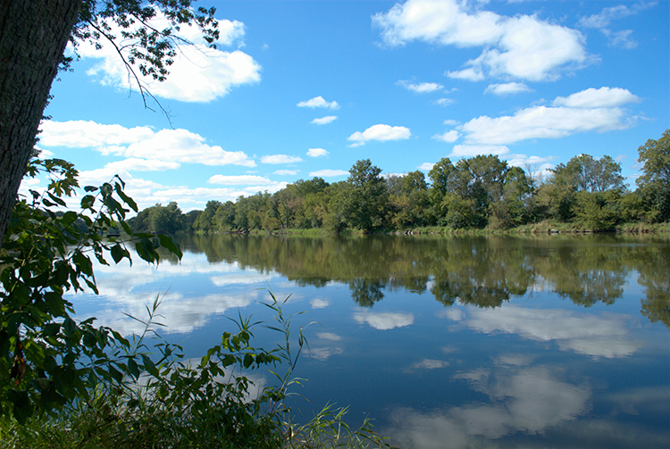 The Best pest Control Company near Me Chicagoland