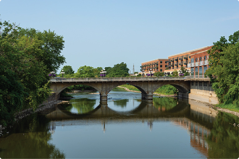 professional pest control services